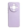 Herbe violette