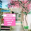 Cherry Blossom Set Menu ins-17