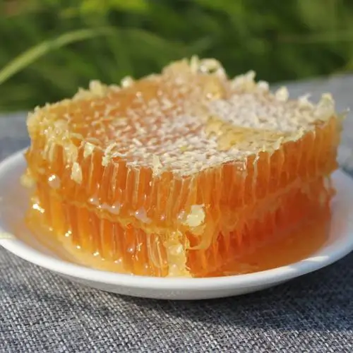 Bloque De Cera De Abejas Natural Para Cosméticos 454 Gramos | Meses Sin