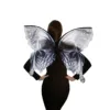 Adult butterfly wings black
