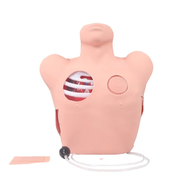 DARHMMY Thoracentesis Drainage Model Medical Science Training Manikin