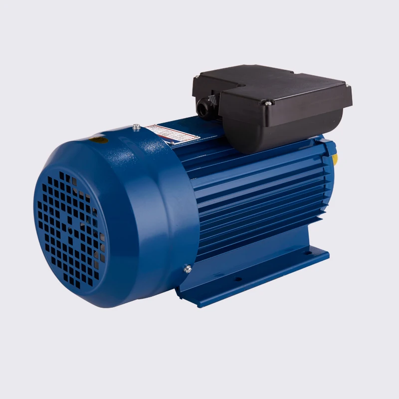 220V Single Phase Capacitor Start AC Induction Motor Waterproof Enclosed 50/60Hz Frequency Asynchronous Motor