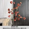Goldenrain fruit