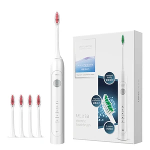 Ultrasonic Sonic Rechargeable Good Electric Toothbrush Replaceable Toothbrush with Clean and Sensitive