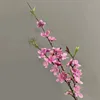 Pourpre