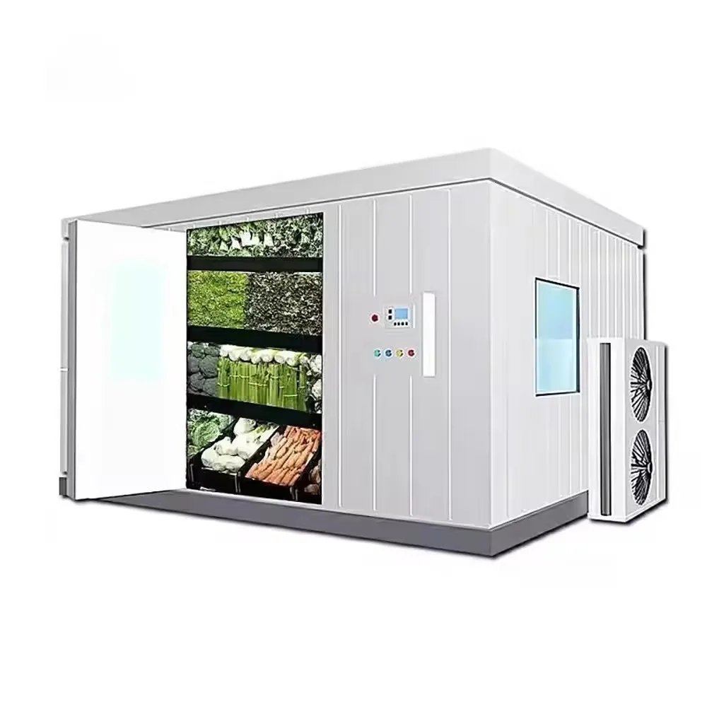 Mobile Container Cold Storage Blast Freezer Room Walk In Cooler Storage Room For Meat 5696