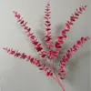 Eucalipto rojo oscuro
