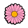 005-43