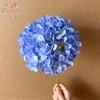 #12 blu