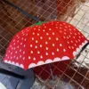 New vintage-style cute strawberry straight umbrella-8 ribs