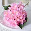 rosa2
