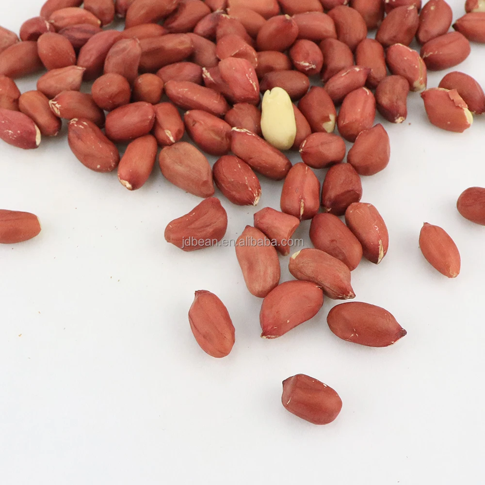 Peanuts 50 Kg Bulk Raw Peanuts Peanuts Price Peanut Seeds