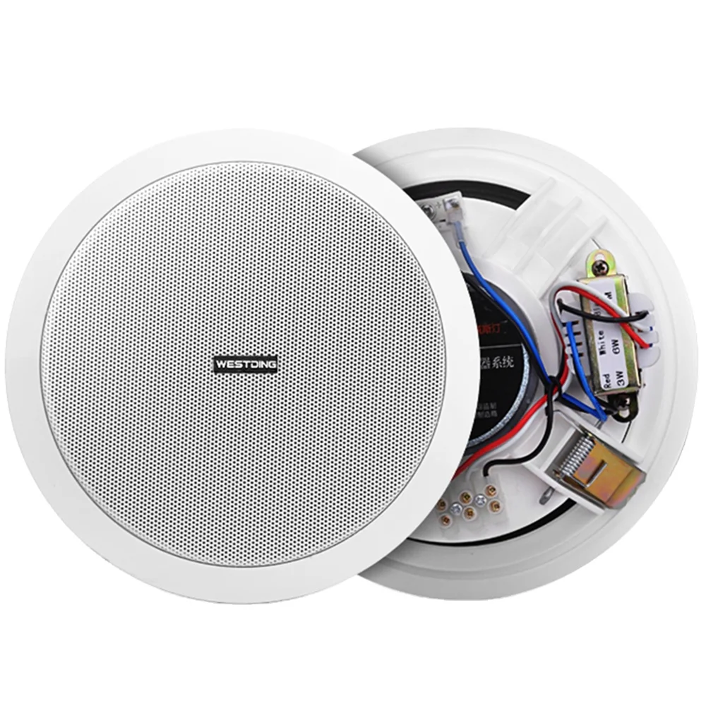 ceiling speaker 3w