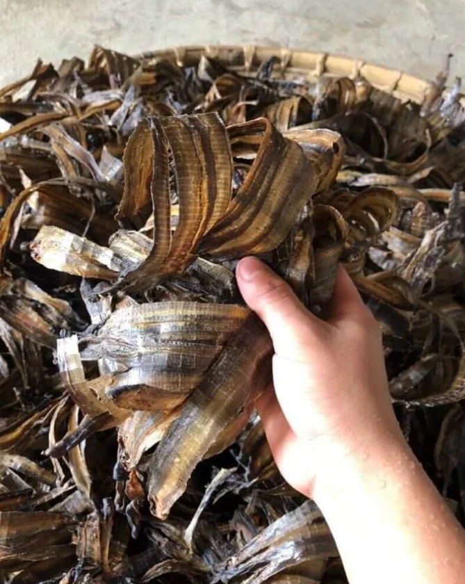 DRIED EARTHWORM SUPPLIER FROM VIETNAM BEST QUALITY BEST SELLING ITEM WITH COMPETITIVE PRICE