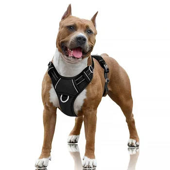 Pet Supplies Upgrade No Pull Dog Harness Adjustable Soft Padded Harness Dog with Quick Release Neck Buckle