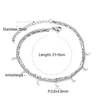 Plata-AN109301S