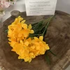 Arancione