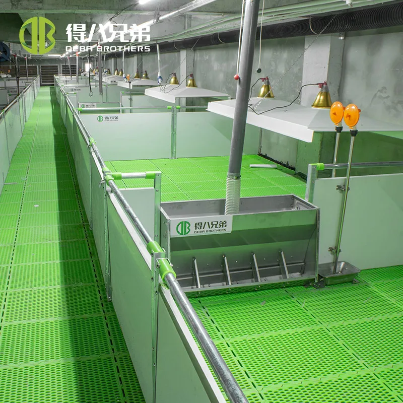 PVC Panel Weaning Crates - Durable Pig Nursery Solutions