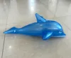 Dauphin bleu