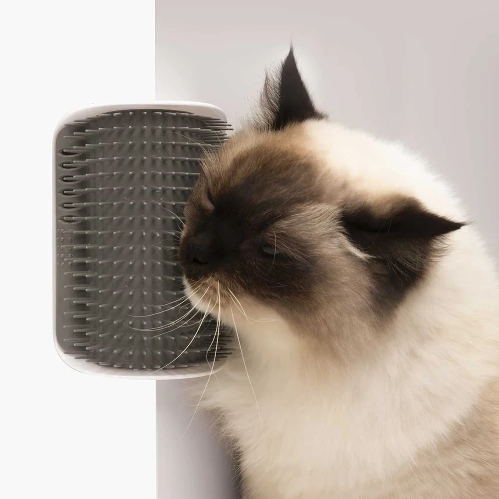 cat bath ensacark