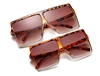 C8 Set leopardo-C