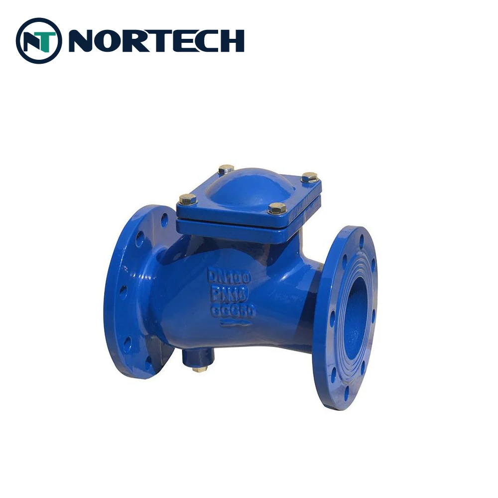 Flange end Cast iron ball check valve with float ball EPDM NBR coating for water