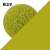 B29