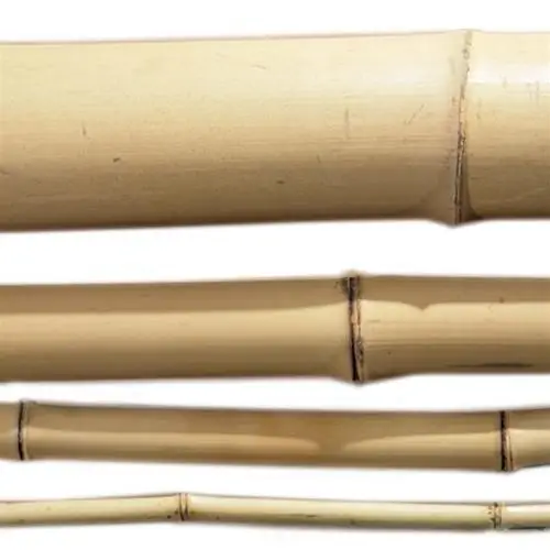 Оптовая продажа бамбуковые трости/бамбуковый столб для садоводства поддержка сельского хозяйства по лучшей