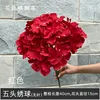 Red 5-headed hydrangea without leaves