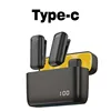 2 Microphones Type C