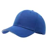 Royal blue+white bill