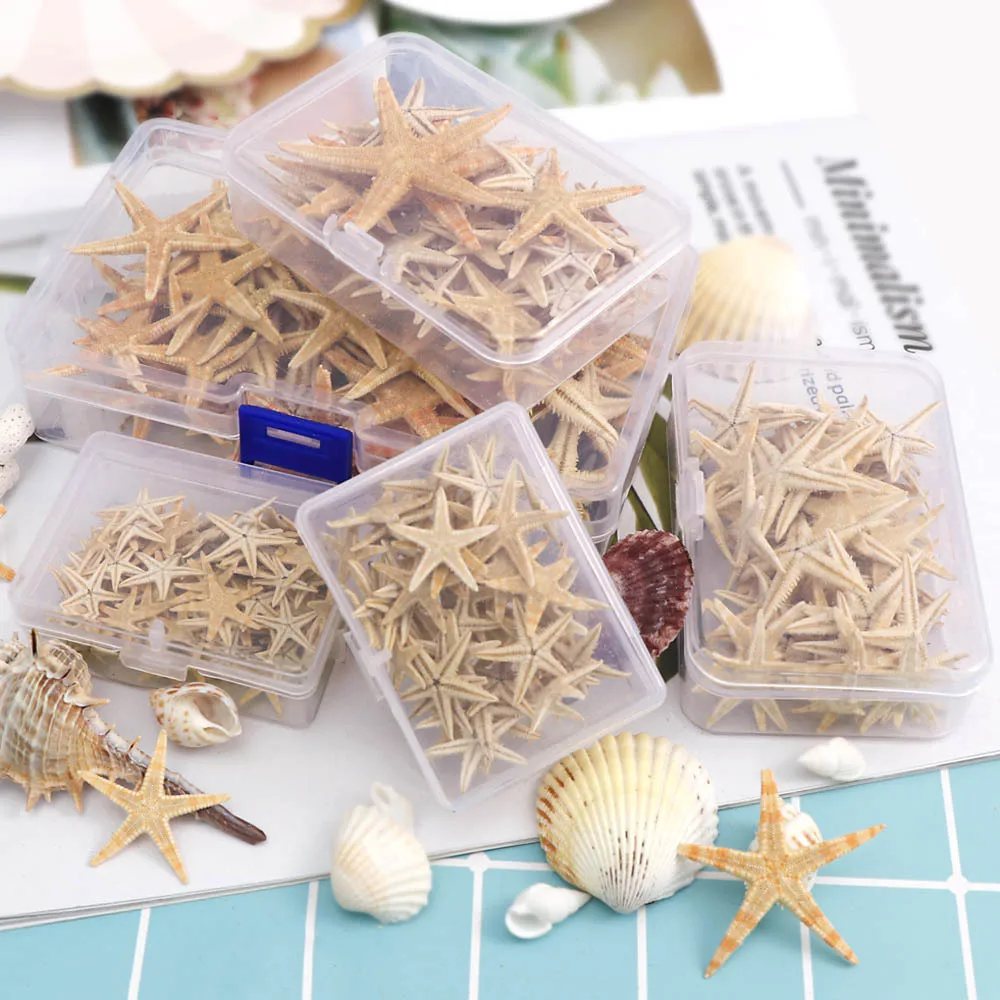 100 Echte Mini-Seesterne Zum Basteln & Dekorieren – Natürliche Meer-Deko Für Hochzeit, Party, DIY | 0,5–1,5 Cm
