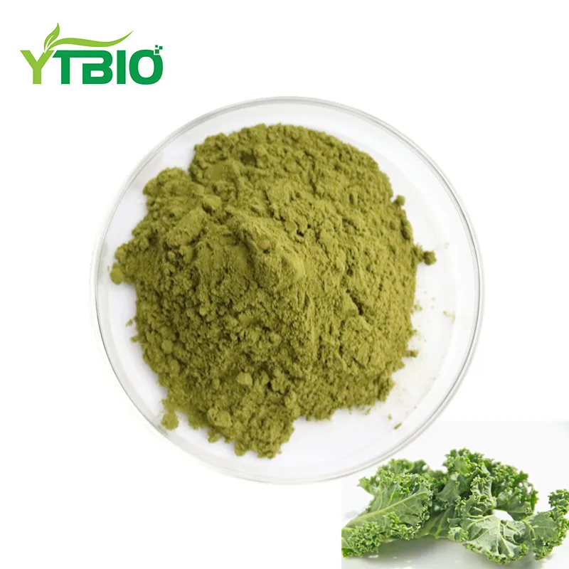 factory supply the quality kale extract kale powder