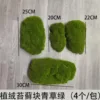 4 paquets de blocs d'herbe verte et de mousse