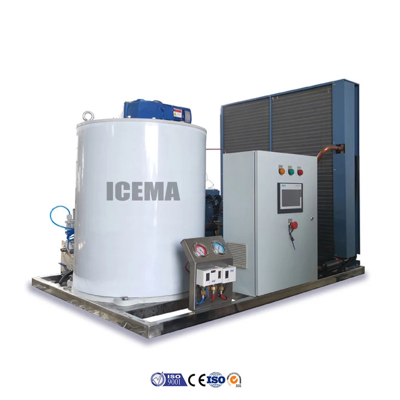 Icema Full Automatic 20 Tons Per Day Ice Flake Making Machine Snow