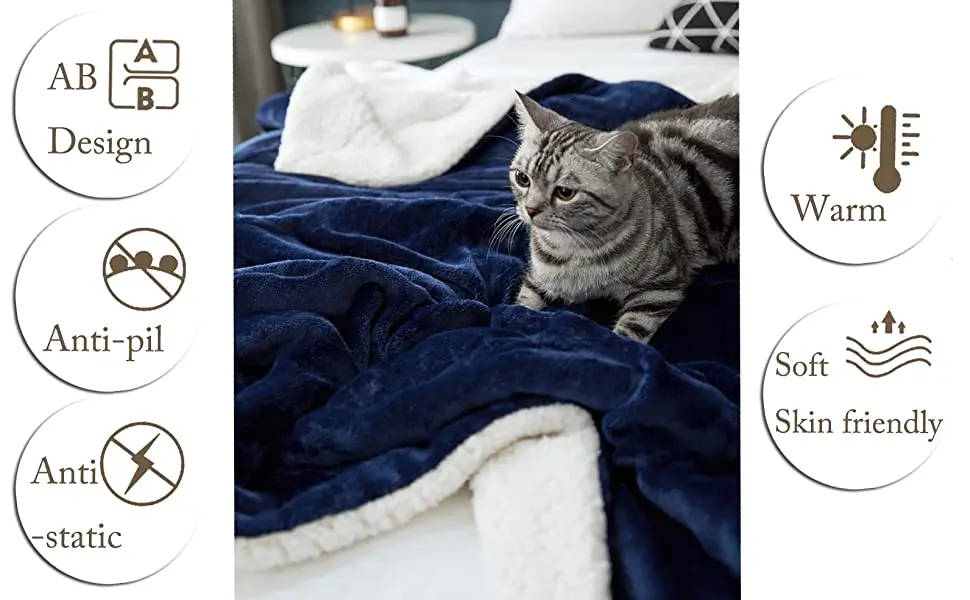 Cvs Bsci Winter Plush Blanket Throw Custom Reversible 2 Ply Flannel