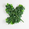 12 branches of Ficus microcarpa with resin coating
