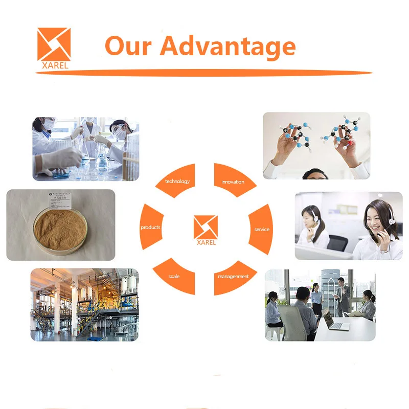 Halal Grade 99% Lycoris Radiata Extract Powder Lycoris Radiata Powder