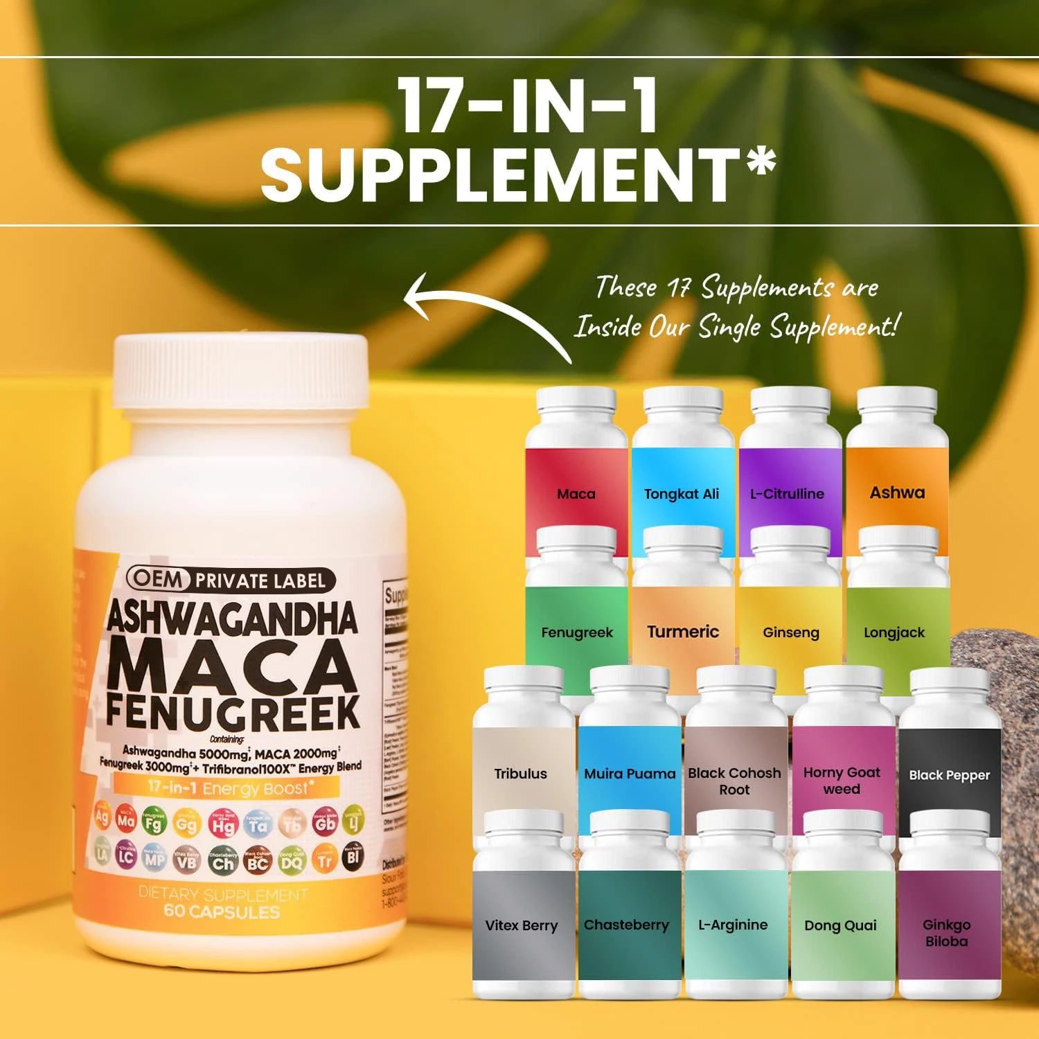Ashwagandha Maca Fenugreek Benefits For Men Custom Ashwagandha Maca Root Fenugreek Supplement Ashwagandha Capsules