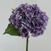 Morado intenso