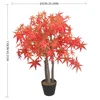 XY2506-3407 95CM