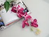 Pourpre