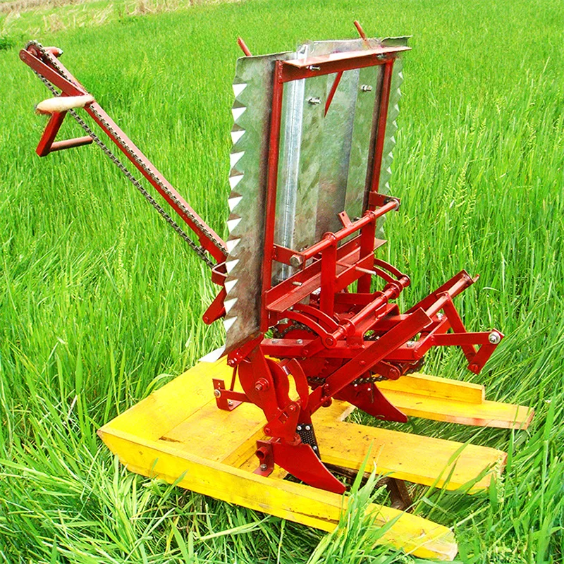 2 Row Manual Rice Planting Machine - Agriculture Paddy Equipment, Oem