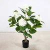 Vert 80cm