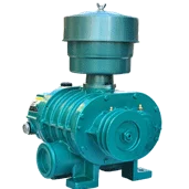 Roots Blower, FUTI, TWO, BLADES, HORIZONTAL - detail 22