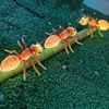 ant 2