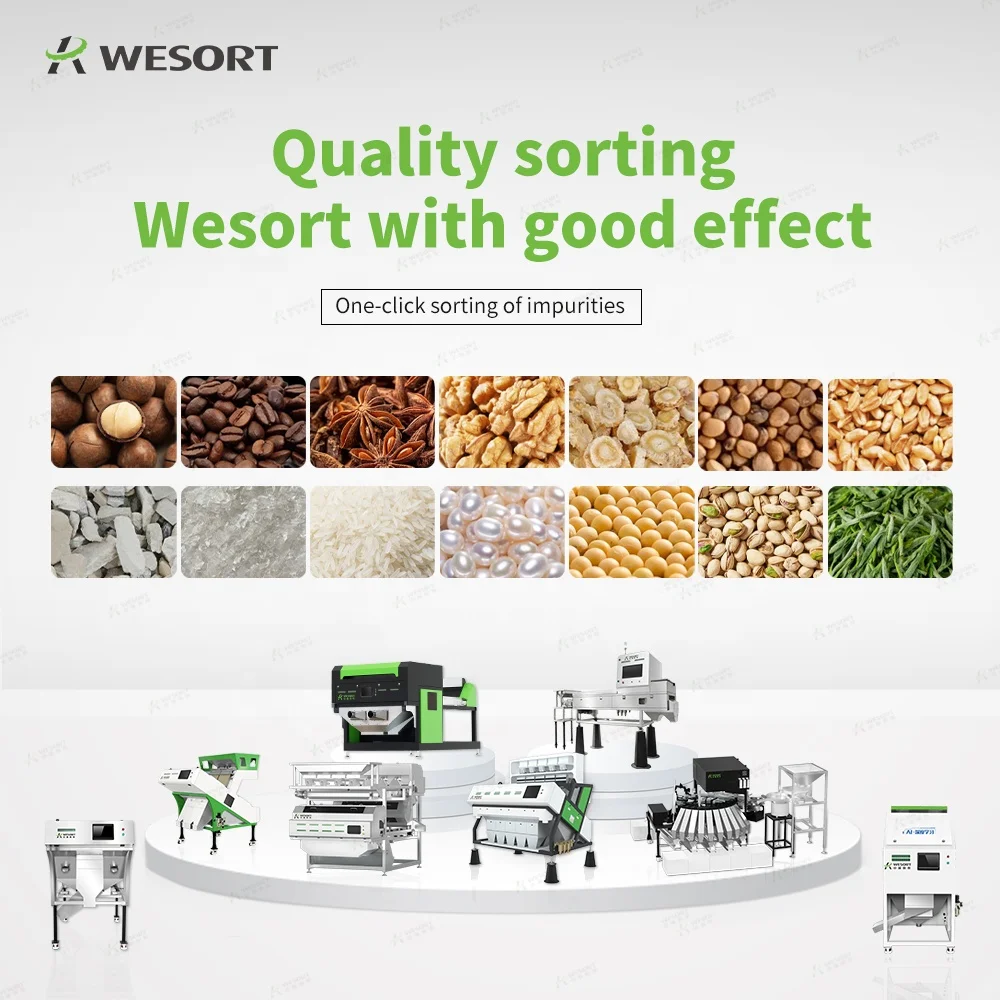 WESORT Manufacturer Automatic LDPE Plastic Recycling Machine ABS PP PE PVC Color Sorter for PET EPS BOPP Plastic Types