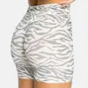 grey zebra