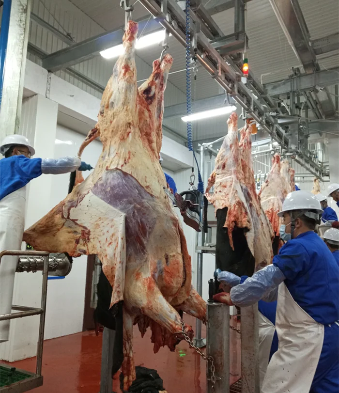 Production Line Cow Abattoir Slaughtering Processing Halal Slaughterhouse Equipment From China