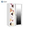 2 door with mirror wardrobe